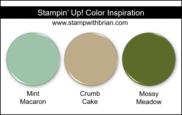 Stampin' Up! Color Inspiration - MInt Macaron, Crumb Cake, Mossy Meadow