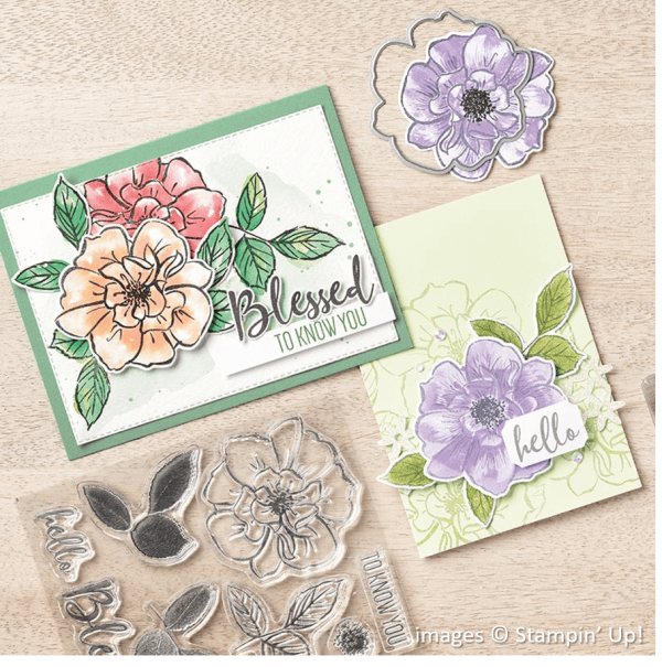 To a Wild Rose Bundle, Stampin' Up!, Catalog Samples To a Wild Rose Bundle, Stampin' Up!, Catalog Samples