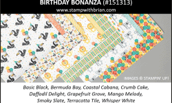 Birthday Bonanza Designer Series Paper, Stampin Up! 151313