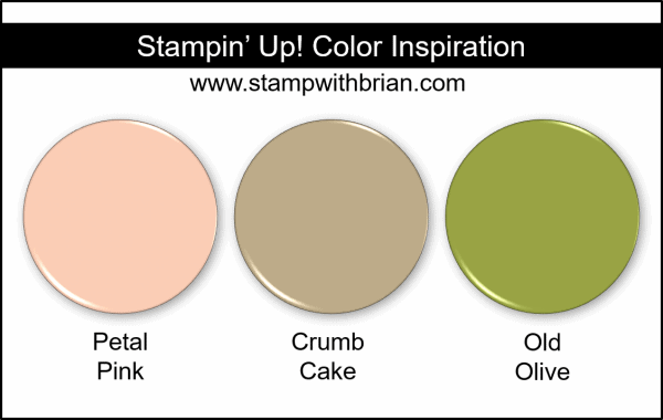 Stampin Up! Color Inspiration - Petal Pink, Crumb Cake, Old Olive