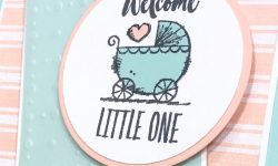 Witty-cisms, Very Vellum, Magnolia Lane, Stampin Up!, Brian King, baby card