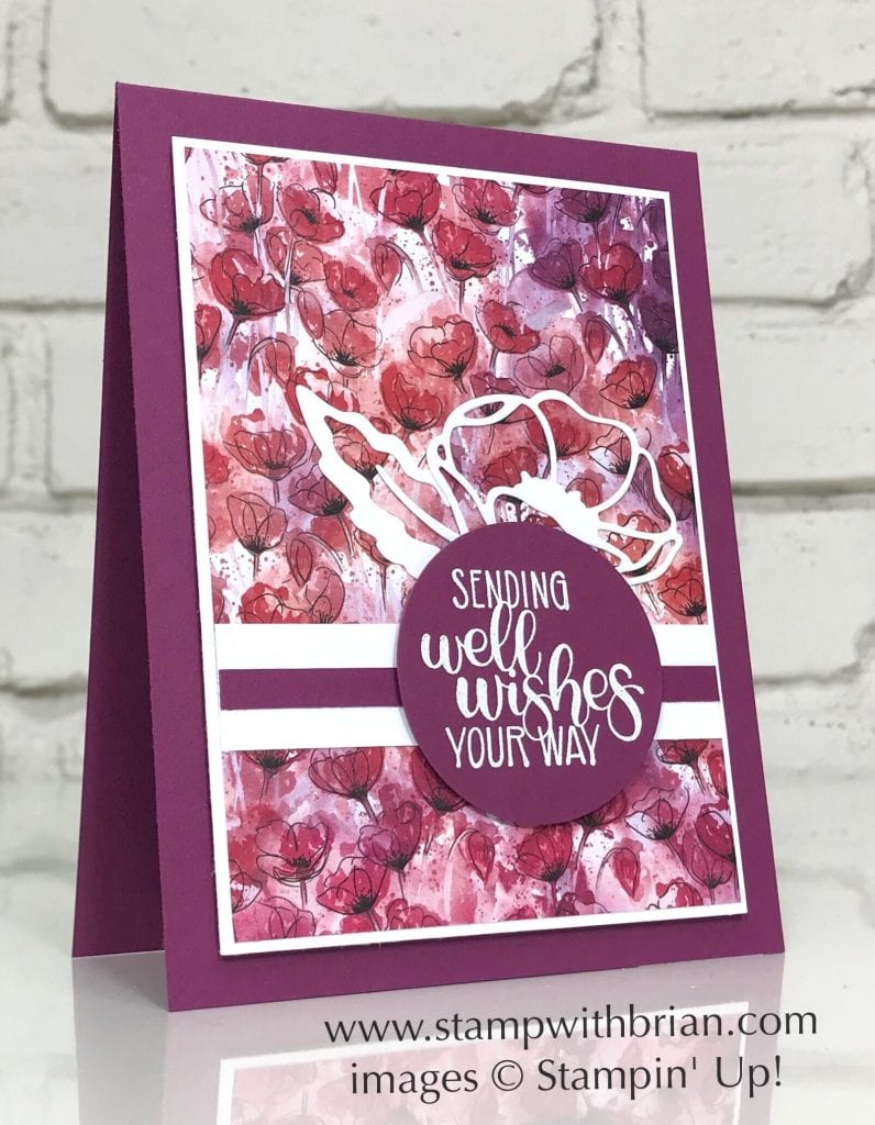 Dandelion Wishes, Stampin Up!, Brian King