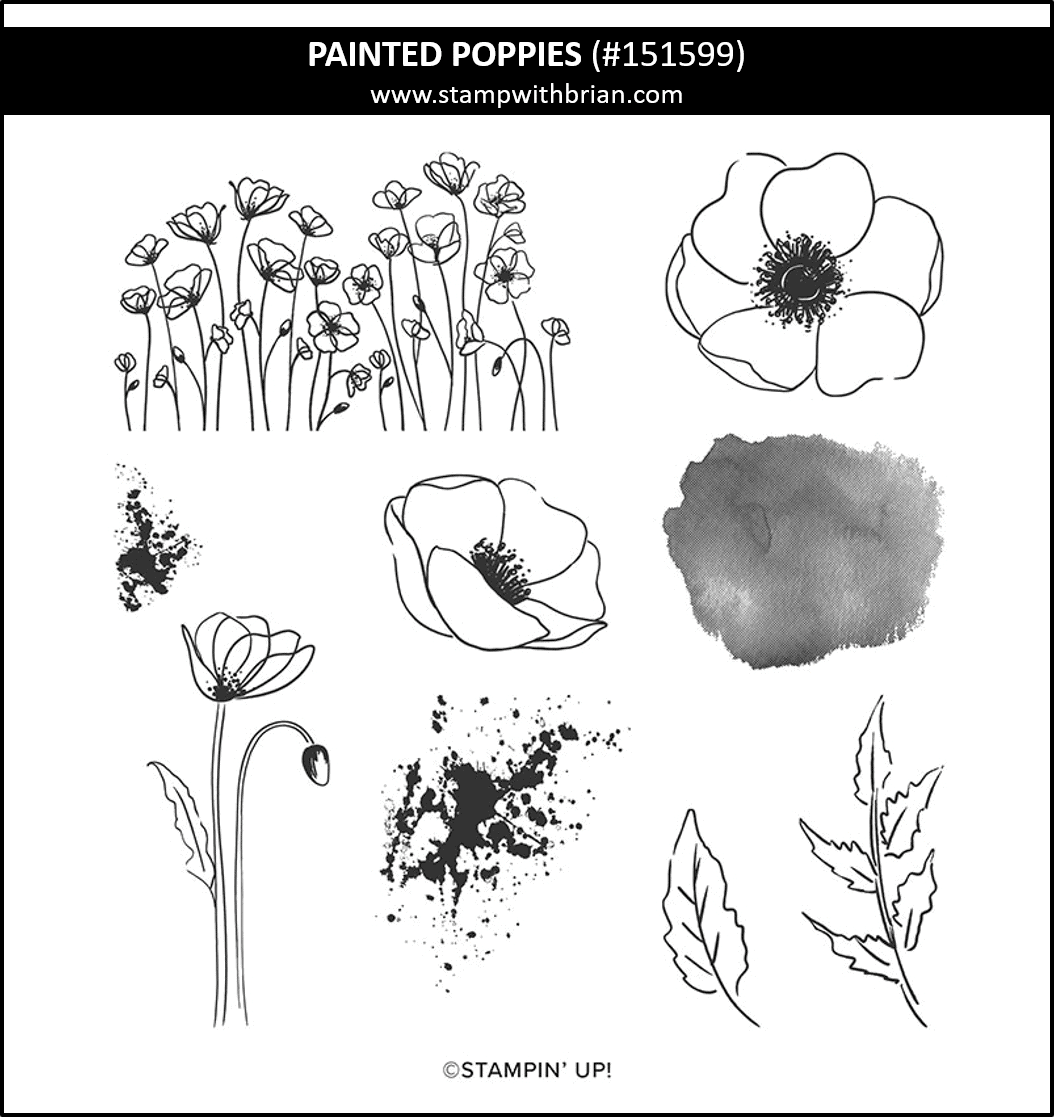 Painted Poppies, Stampin Up! 151599
