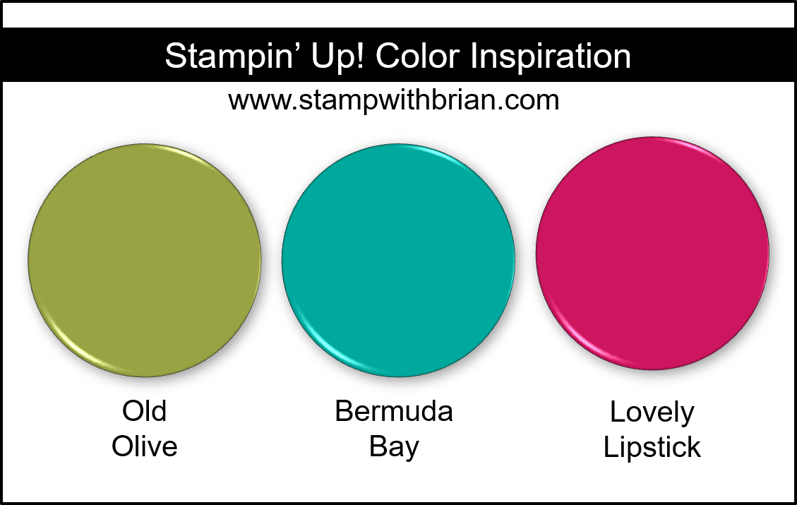 Stampin Up! Color Inspiration - Old Olive, Bermuda Bay, Lovely Lipstick Stampin Up! Color Inspiration - Old Olive, Bermuda Bay, Lovely Lipstick