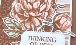 Prized Peony, Blossoms in Bloom, Stampin Up!, Brian King
