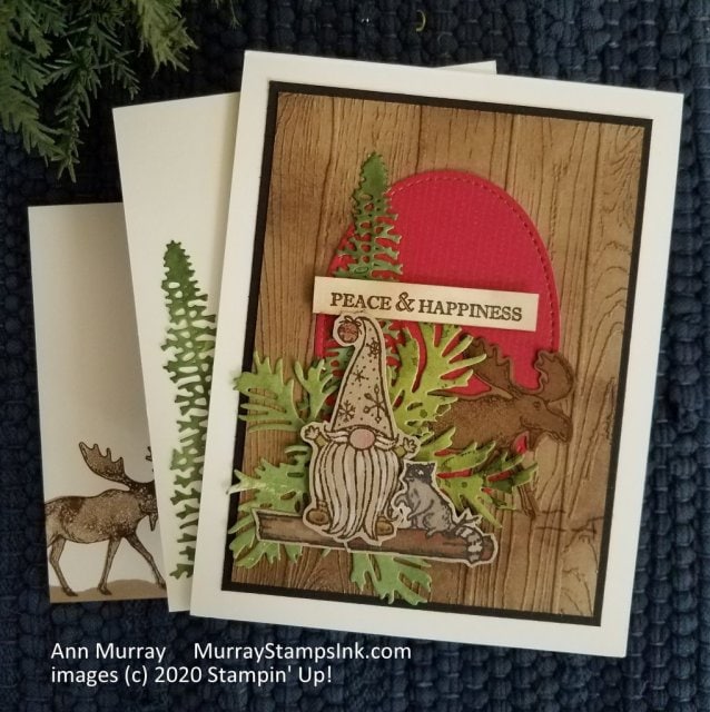 Gnome for the Holidays, Stampin Up!, by Ann Murray