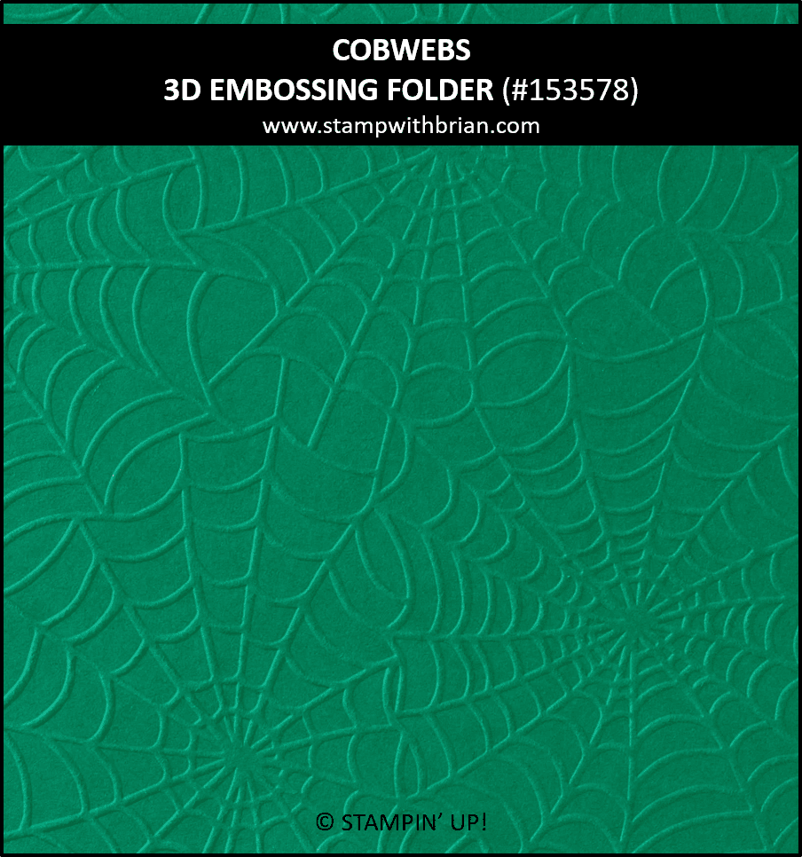 Cobwebs 3D Embossing Folder, Stampin Up! 153578
