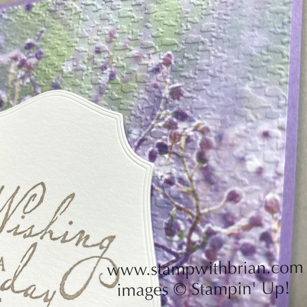 Woven Heirlooms, Feels Like Frost, Stampin Up!, Brian King Woven Heirlooms, Feels Like Frost, Stampin Up!, Brian King