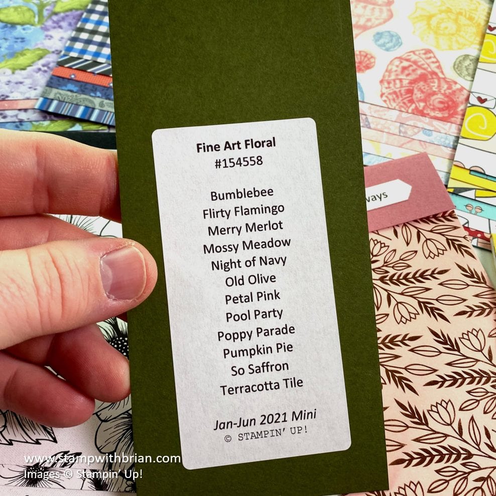 Jan-Jun 2021 Designer Series Paper Swatchbooks, Stampin Up!, Brian King Jan-Jun 2021 Designer Series Paper Swatchbooks, Stampin Up!, Brian King