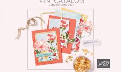 January-June 2021 Mini Catalog Cover, stampwithbrian, Brian King