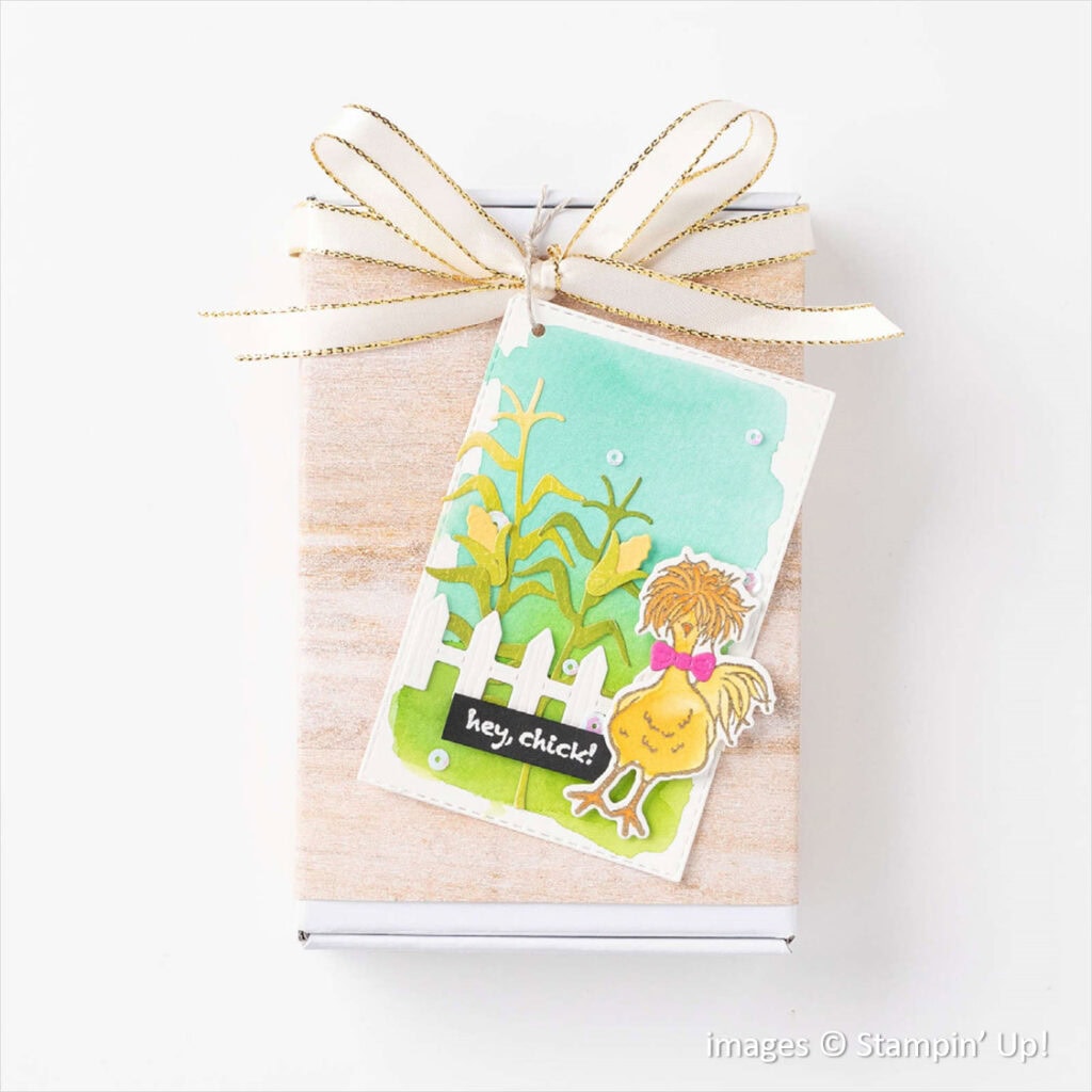 Hey Chick Bundle, Stampin Up! samples, 158627 Hey Chick Bundle, Stampin Up! samples, 158627