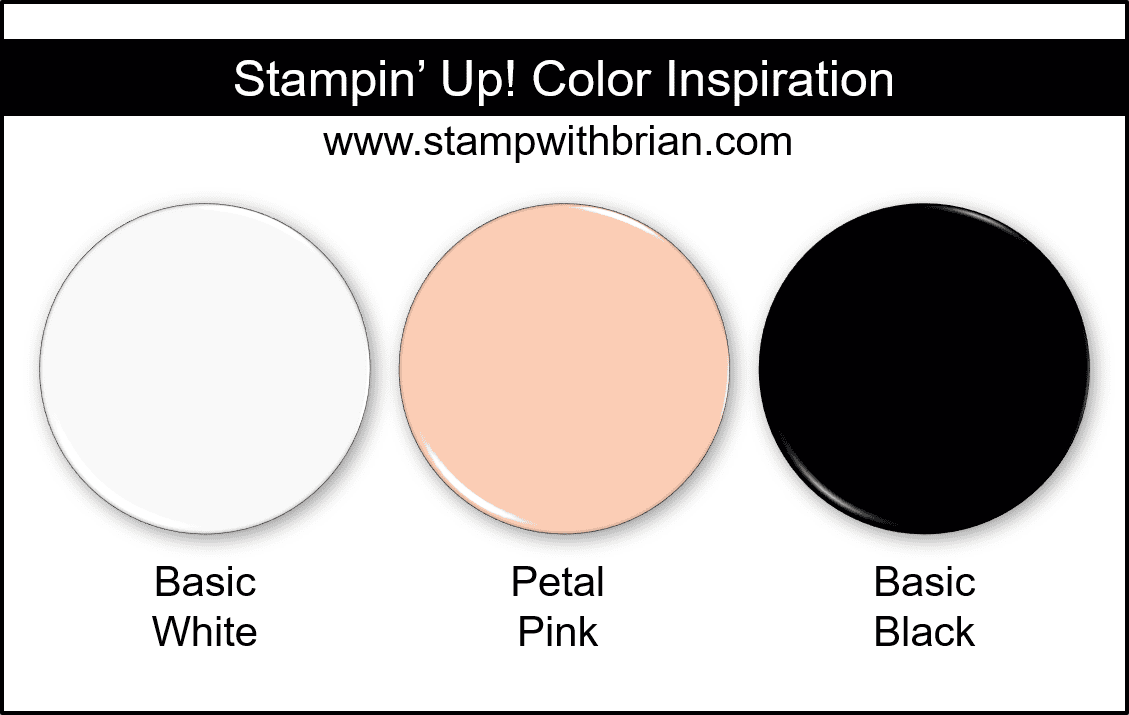 Stampin Up! Color Inspiration - Basic White, Petal Pink, Basic Black Stampin Up! Color Inspiration - Basic White, Petal Pink, Basic Black