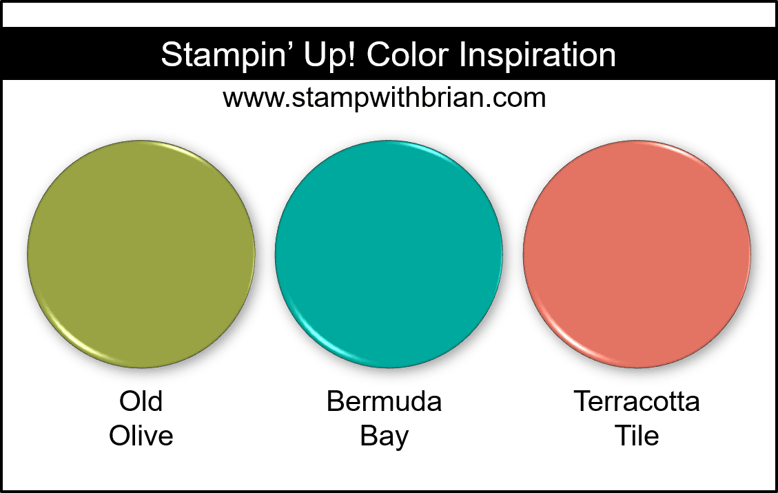 Stampin Up! Color Inspiration - Old Olive, Bermuda Bay, Terracotta Tile Stampin Up! Color Inspiration - Old Olive, Bermuda Bay, Terracotta Tile