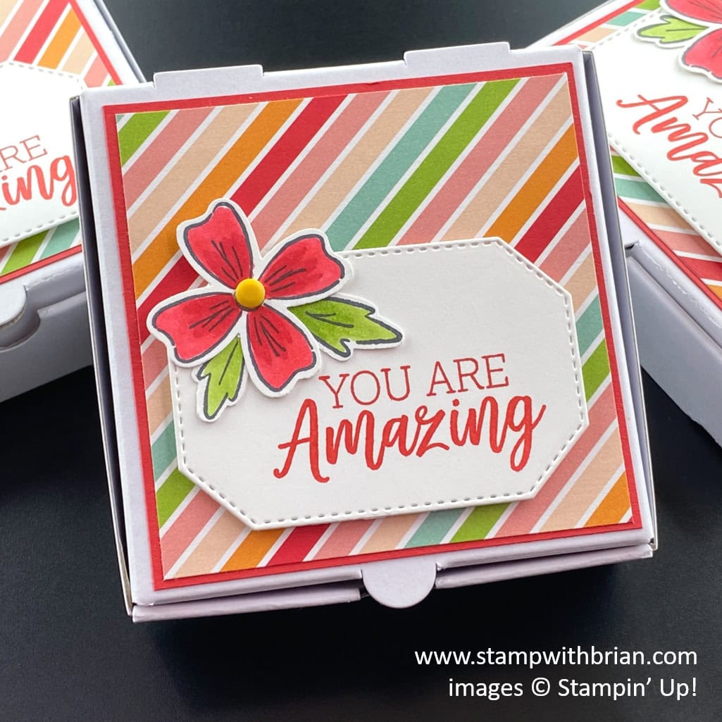 Flowers of Friendship, You are Amazing, Stampin Up!, Brian King
