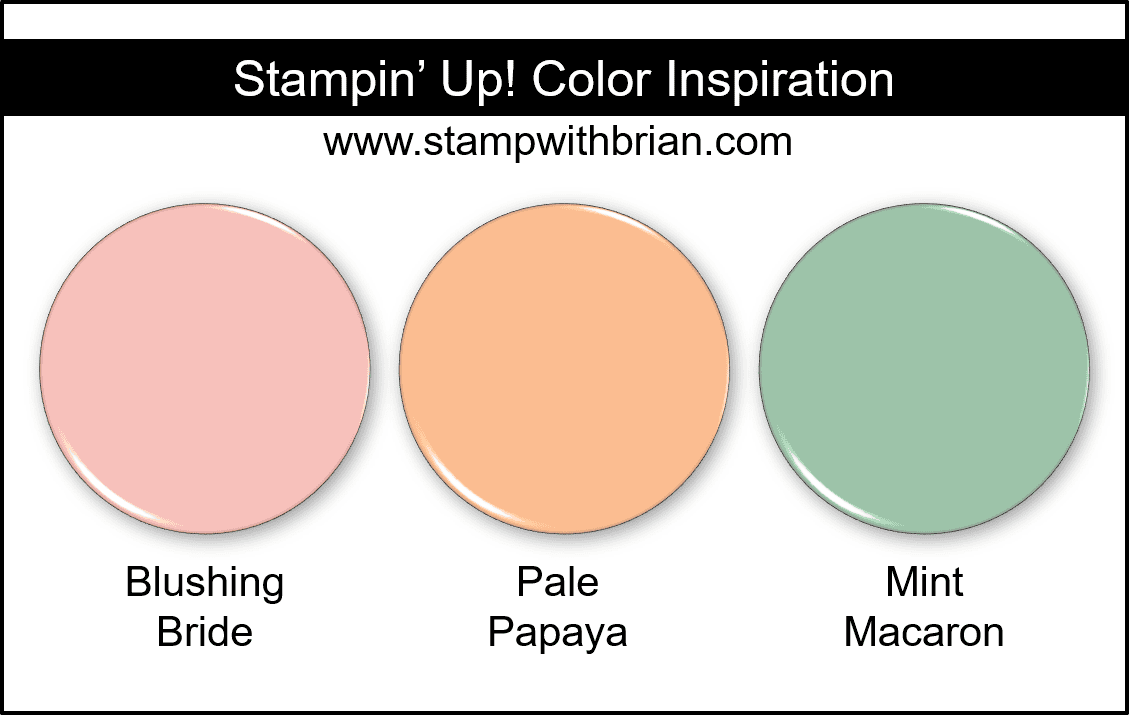 Stampin Up! Color Inspiration - Blushing Bride, Pale Papaya, Mint Macaron Stampin Up! Color Inspiration - Blushing Bride, Pale Papaya, Mint Macaron