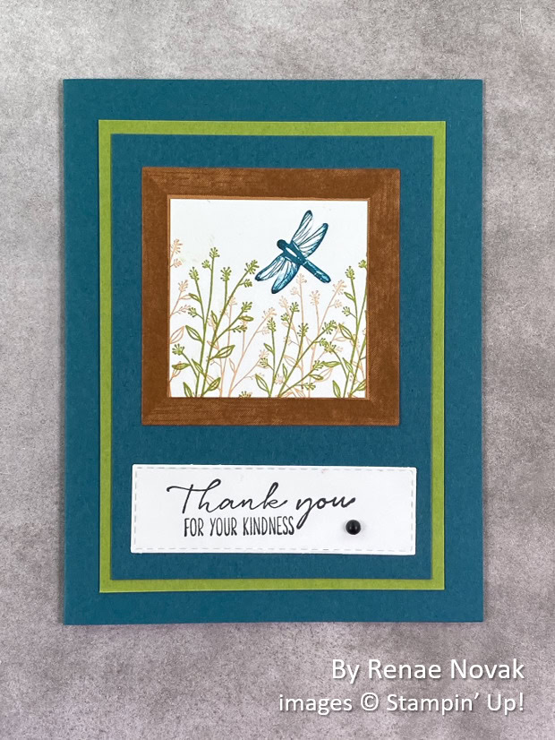 by Renae Novak, Stampin Up!, swap card by Renae Novak, Stampin Up!, swap card