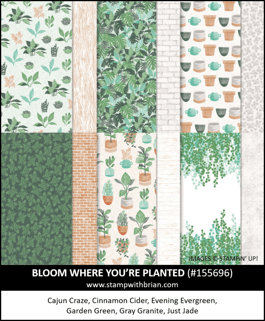 Just a Note [Card Set] with Cactus Cuties – STAMP WITH BRIAN