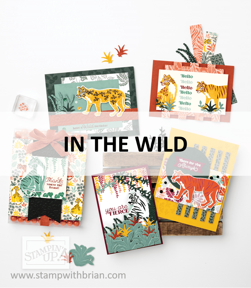 In the Wild Suite, Stampin Up! 2021 Annual Catalog
