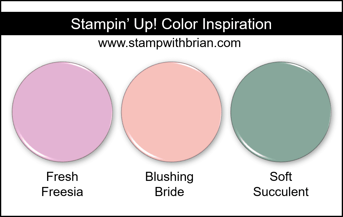 Stampin Up! Color Inspiration - Fresh Freesia, Blushing Bride, Soft Succulent Stampin Up! Color Inspiration - Fresh Freesia, Blushing Bride, Soft Succulent