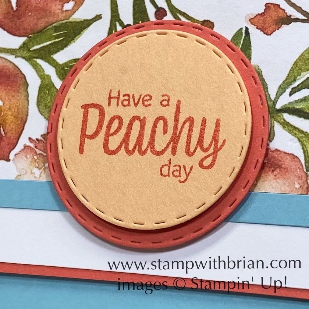 Sweet as a Peach Bundle, Picture This Dies, Stampin Up! Brian King Sweet as a Peach Bundle, Picture This Dies, Stampin Up! Brian King