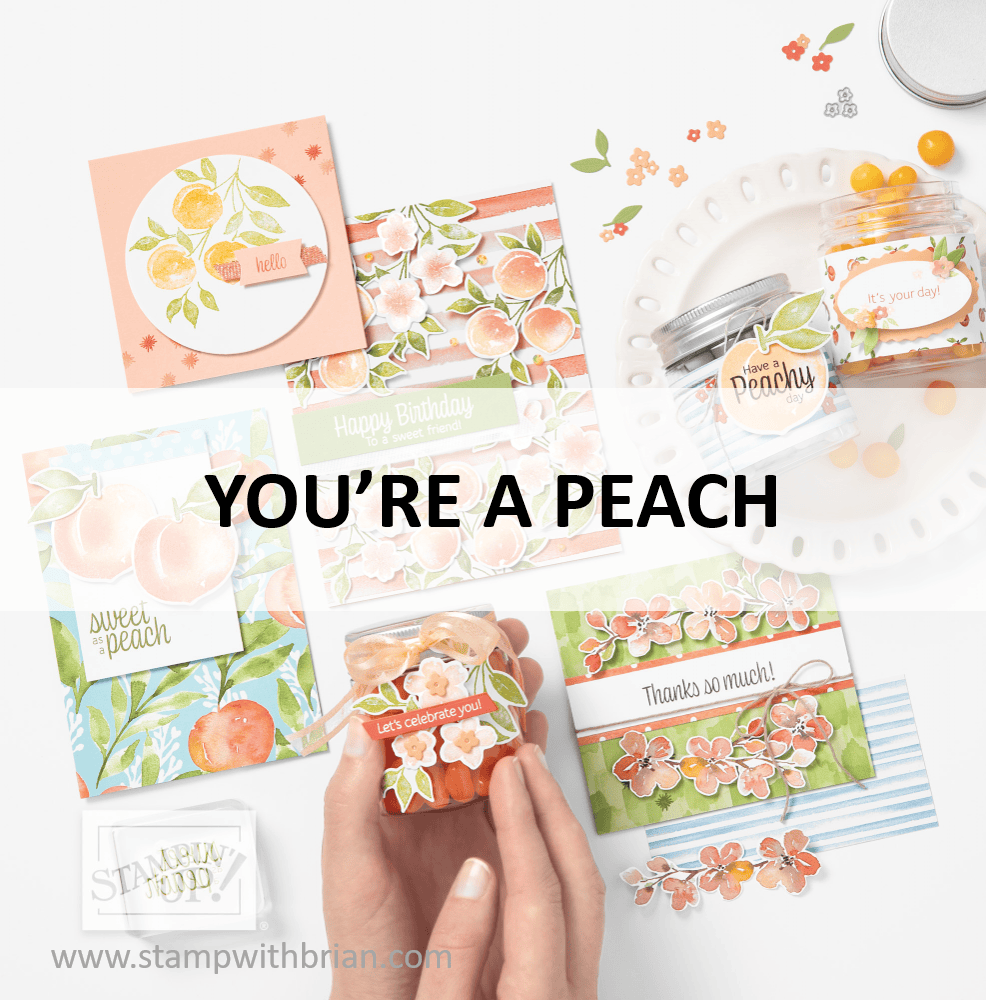 You're a Peach Suite, Stampin Up! 2021 Annual Catalog