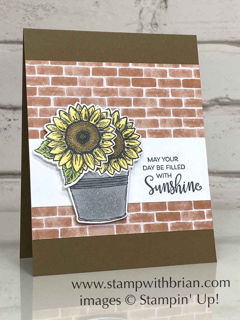 Celebrate Sunflowers, Celebrate with Flowers, Simply Succulents, Stampin Up!, Brian King Celebrate Sunflowers, Celebrate with Flowers, Simply Succulents, Stampin Up!, Brian King