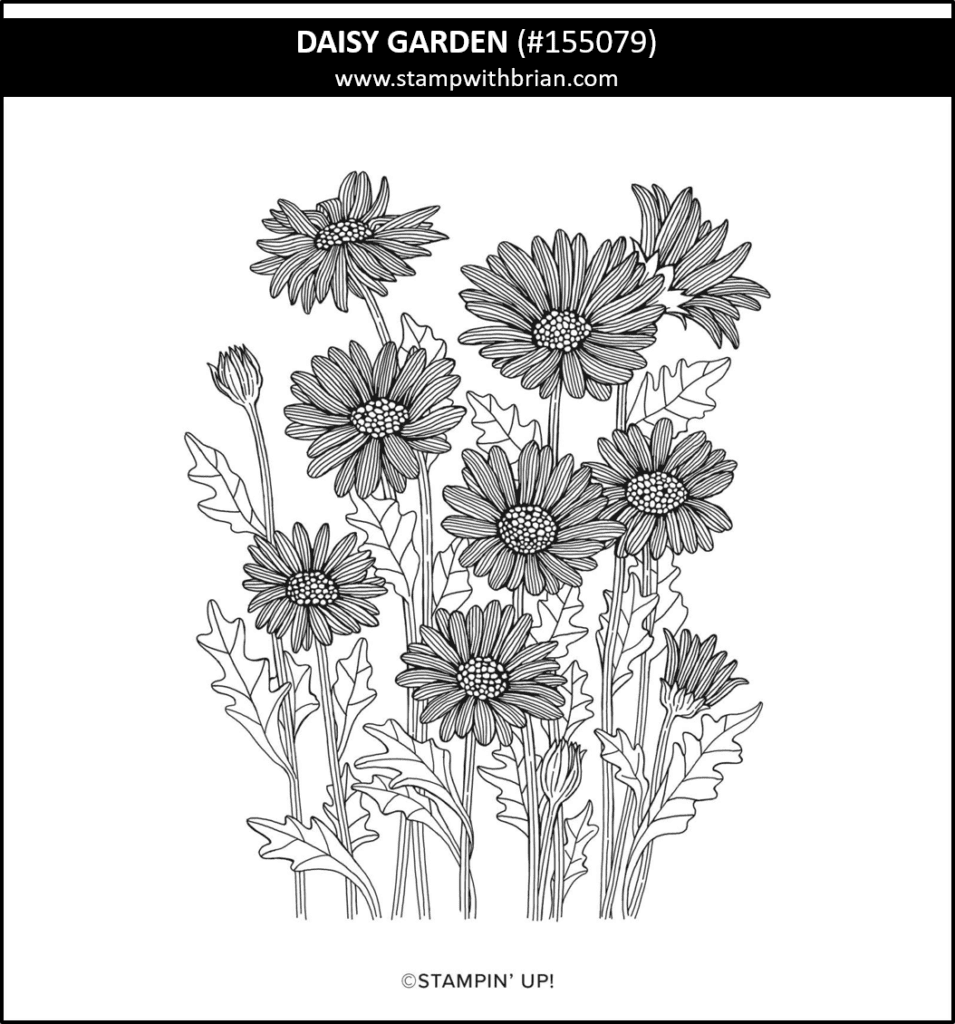 Daisy Garden, Stampin Up! 155079
