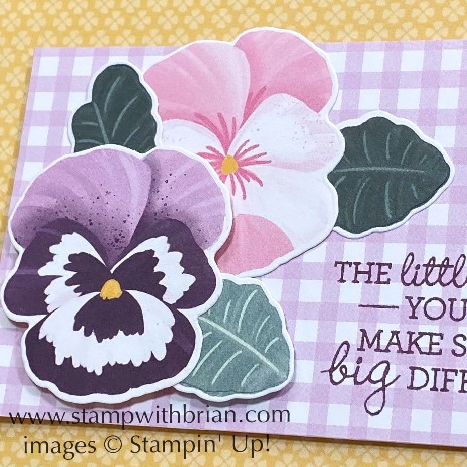 Pansy Patch, Pansy Petals Designer Series Paper, Stampin Up!, Brian King Pansy Patch, Pansy Petals Designer Series Paper, Stampin Up!, Brian King