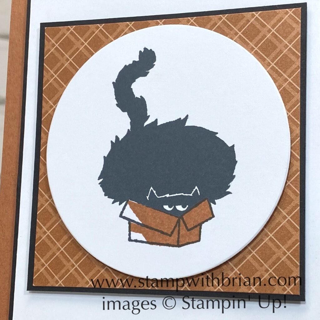 Clever Cats, Stampin Up!, Brian King Clever Cats, Stampin Up!, Brian King