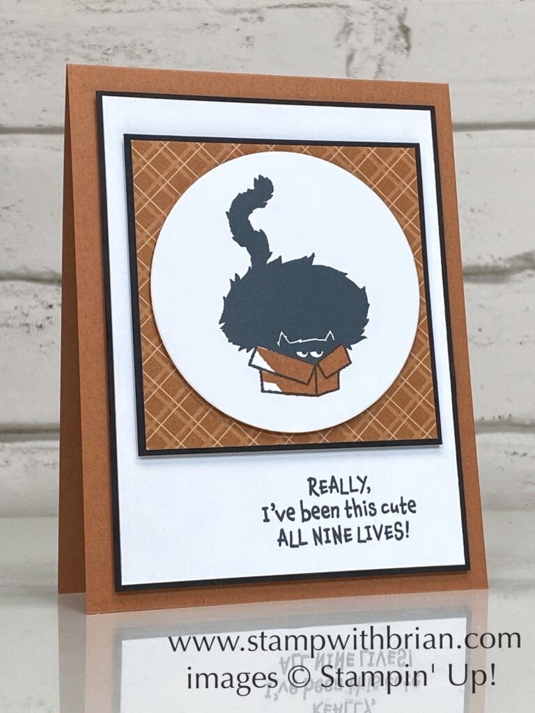 Clever Cats, Stampin Up!, Brian King Clever Cats, Stampin Up!, Brian King