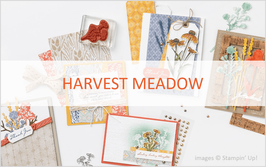 Harvest Meadow Product Suite, Stampin Up!, July-December 2021 Mini Catalog