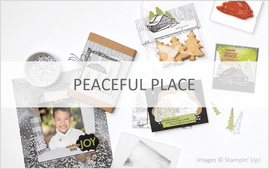 Peaceful Place Product Suite, Stampin Up!, July-December 2021 Mini Catalog