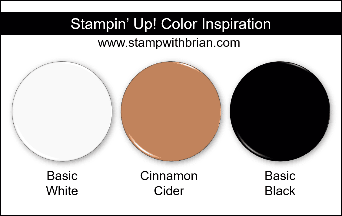 Stampin Up! Color Inspiration - Basic White, Cinnamon Cider, Basic Black Stampin Up! Color Inspiration - Basic White, Cinnamon Cider, Basic Black
