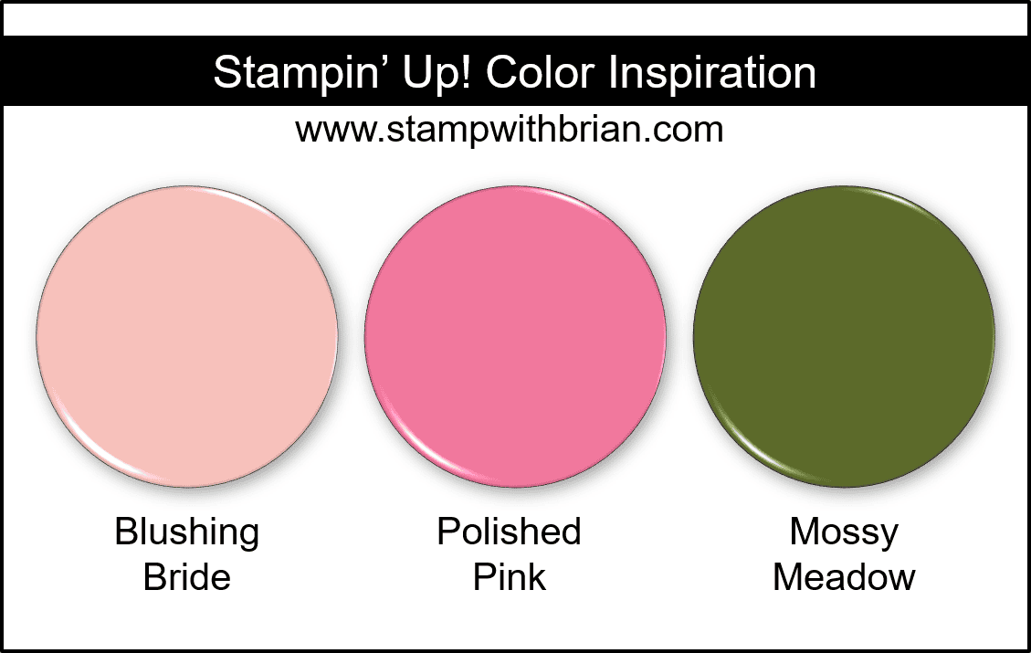 Stampin Up! Color Inspiration - Blushing Bride, Polished Pink, Mossy Meadow Stampin Up! Color Inspiration - Blushing Bride, Polished Pink, Mossy Meadow