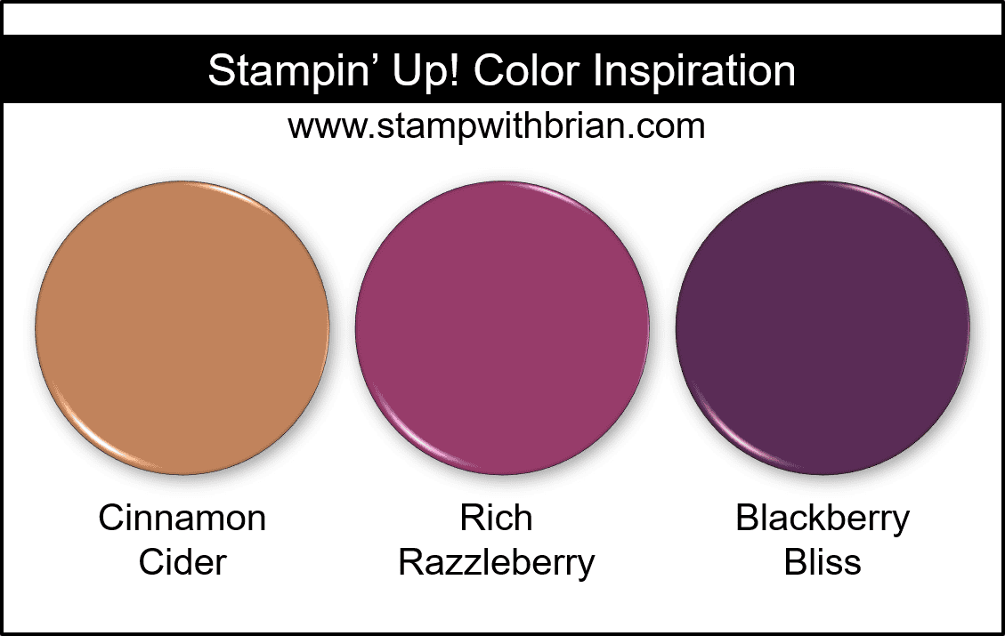 Stampin Up! Color Inspiration - Cinnamon Cider, Rich Razzleberry, Blackberry Bliss Stampin Up! Color Inspiration - Cinnamon Cider, Rich Razzleberry, Blackberry Bliss