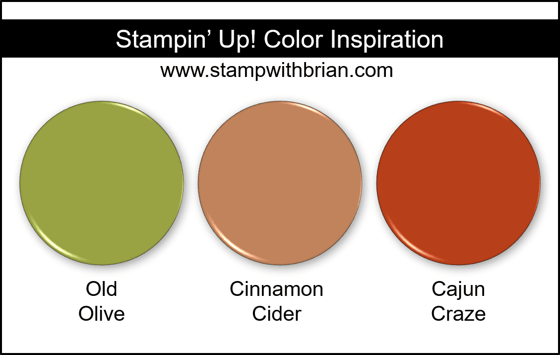 Stampin Up! Color Inspiration - Old Olive, Cinnamon Cider, Cajun Craze Stampin Up! Color Inspiration - Old Olive, Cinnamon Cider, Cajun Craze