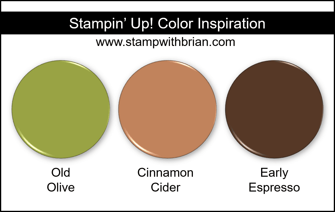 Stampin Up! Color Inspiration - Old Olive, Cinnamon Cider, Early Espresso Stampin Up! Color Inspiration - Old Olive, Cinnamon Cider, Early Espresso