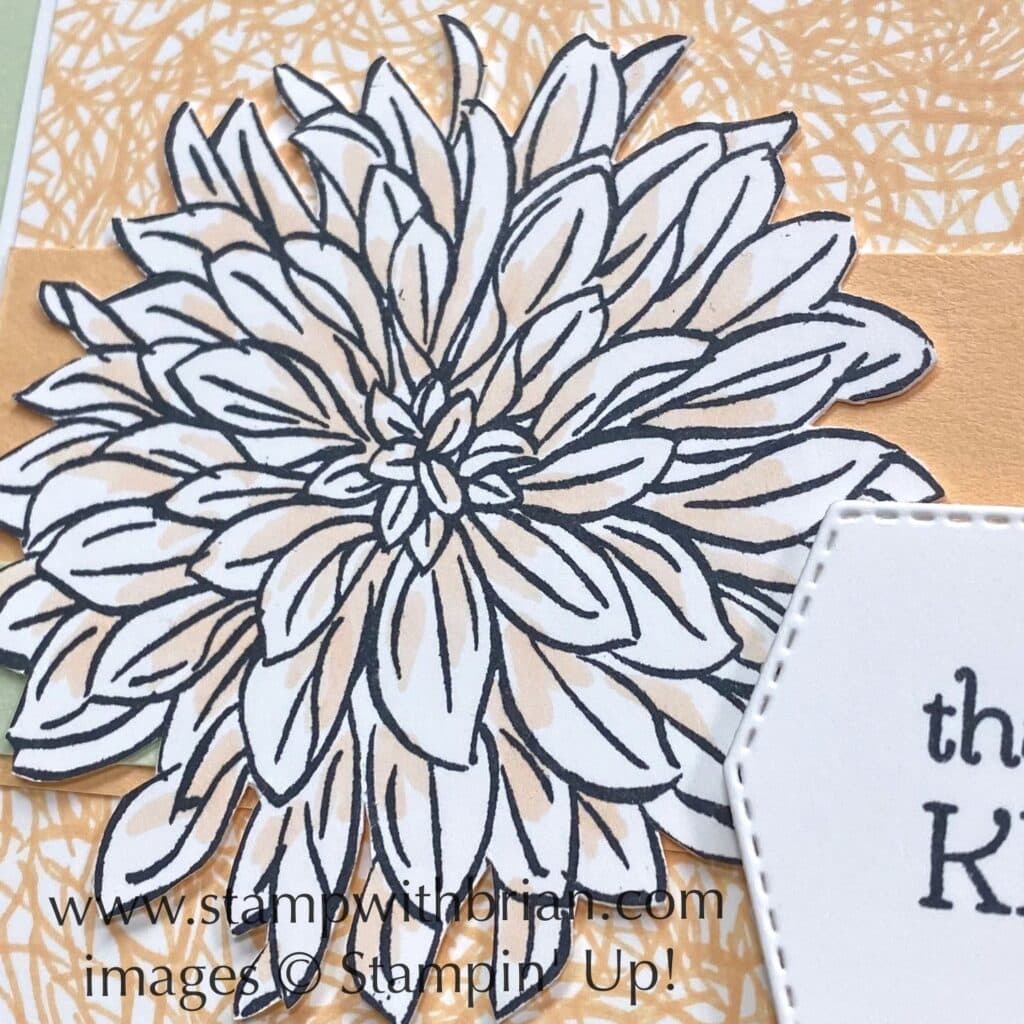 Delicate Dahlias, Stampin Up!, Brian King, thank you card Delicate Dahlias, Stampin Up!, Brian King, thank you card