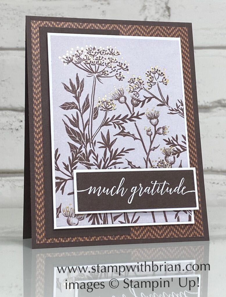 Heartfelt Wishes, Blackberry Beauty Specialty Designer Series Paper, Stampin Up!, Brian King