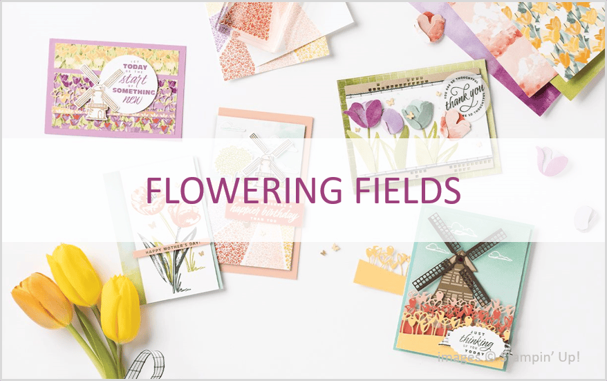 Flowering Fields Product Suite, Stampin Up!, January - June 2022 Mini Catalog