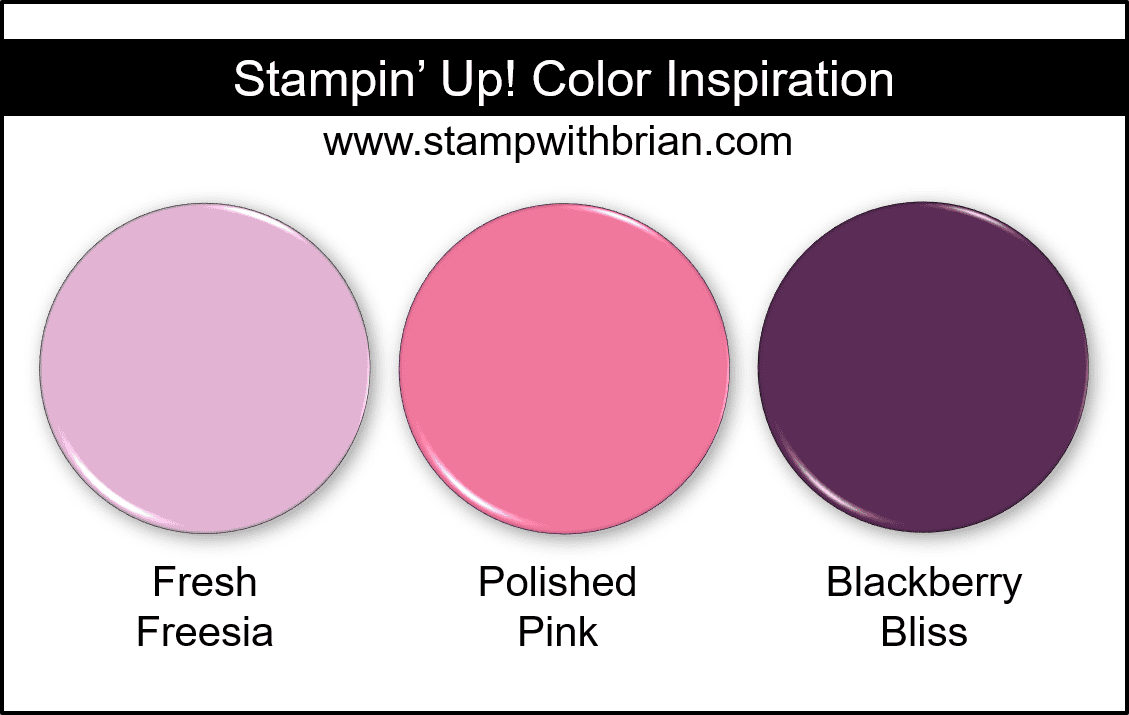 Designer Series Papers from Stampin' Up!'s January – June 2022
