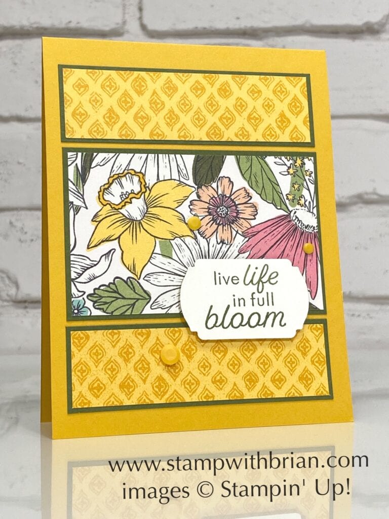Flowering Rain Boots, Daffodil Afternoon Designer Series Paper, Stampin Up!, Brian King