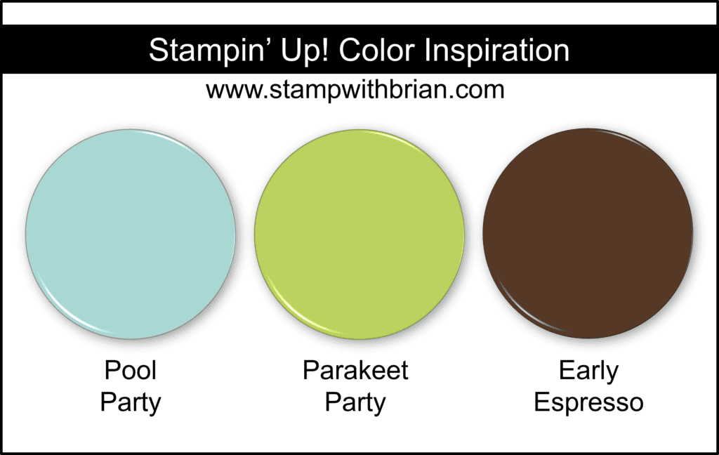 Stampin Up! Color Inspiration - Pool Party, Parakeet Party, Early Espresso Stampin Up! Color Inspiration - Pool Party, Parakeet Party, Early Espresso