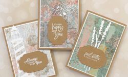 Kraft Note Cards & Envelopes, Texture Chic Specialty Designer Series Paper, Stampin Up!, Brian King