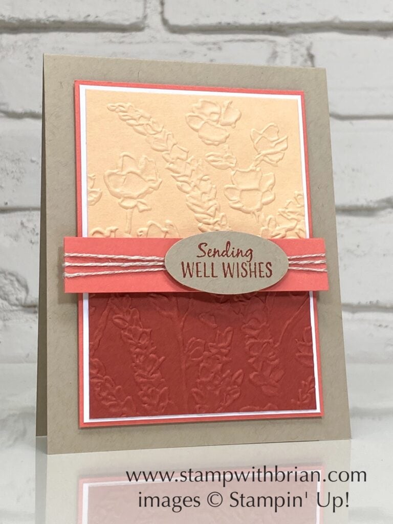 Painted Posies 3D Embossing Folder, A Fish & A Wish, Stampin Up!, Brian King, get well card Painted Posies 3D Embossing Folder, A Fish & A Wish, Stampin Up!, Brian King, get well card