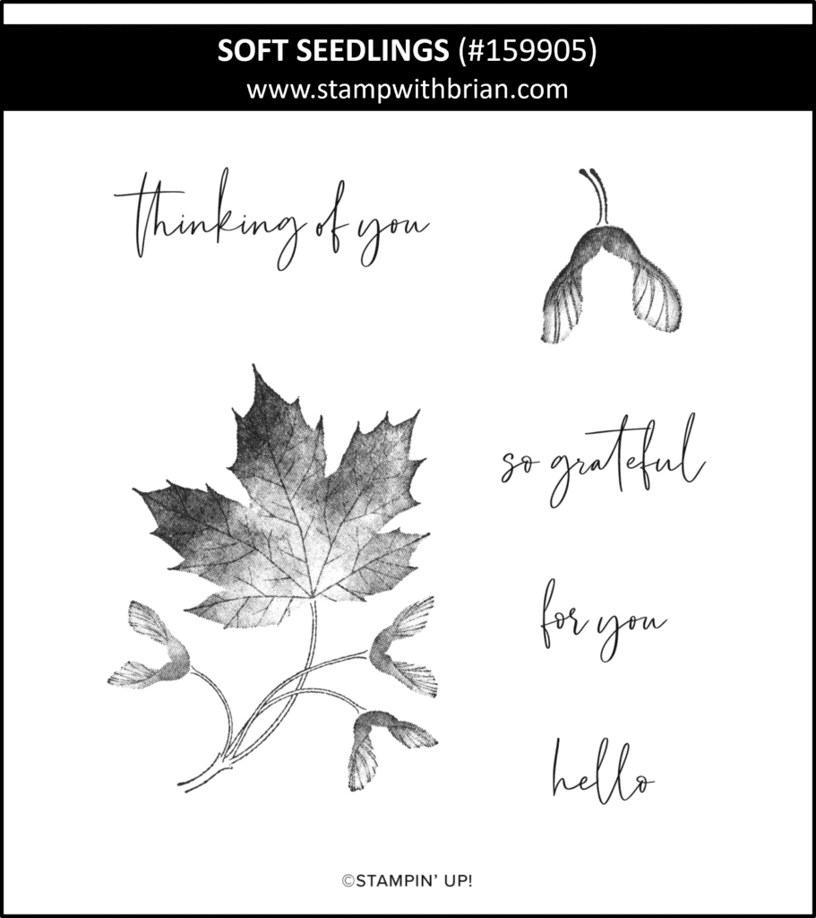 Soft Seedlings, Stampin Up!, 159905