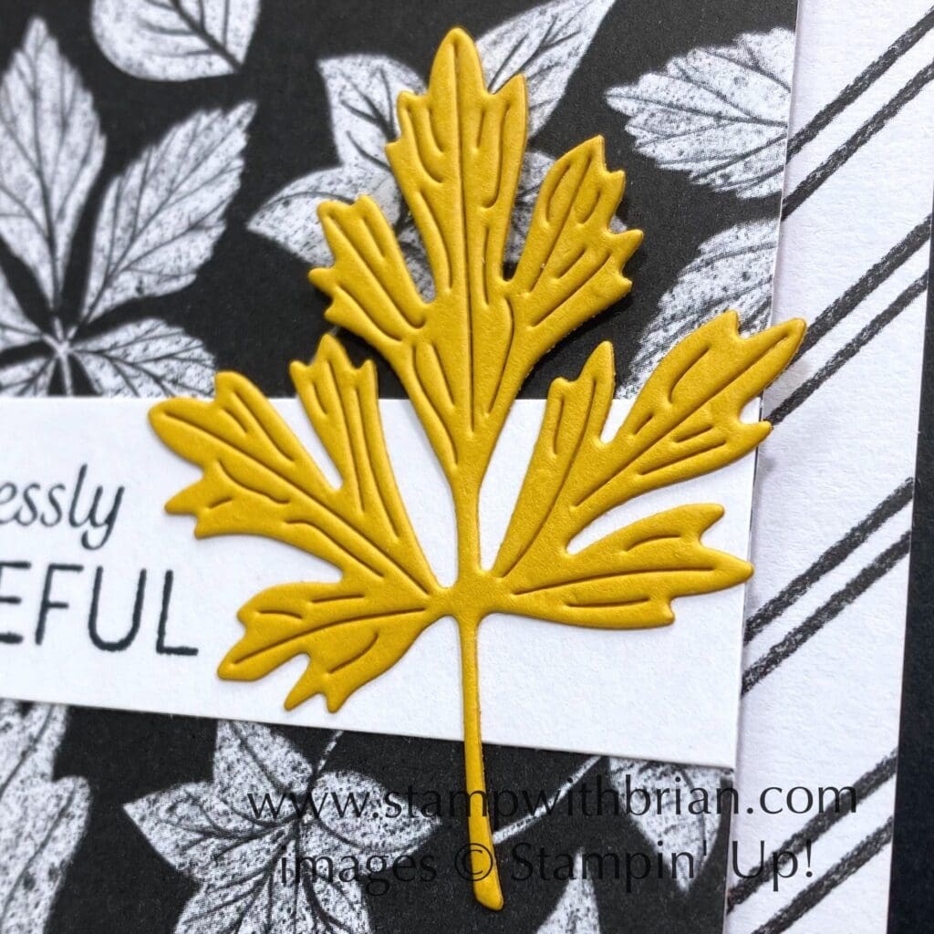 Very Best Occasions, Rustic Harvest Deisgner Series Paper, Stampin Up!, Brian King, thank you card Very Best Occasions, Rustic Harvest Deisgner Series Paper, Stampin Up!, Brian King, thank you card