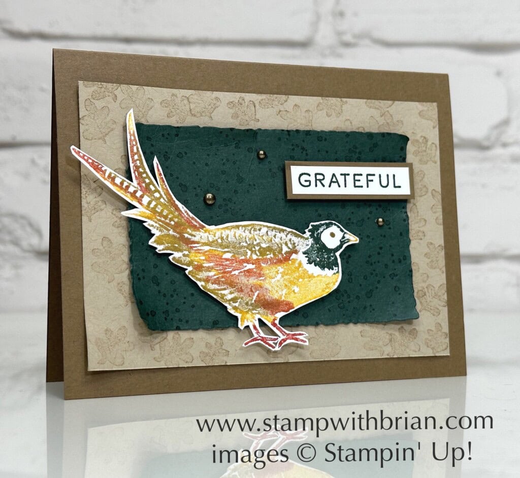 Painted Pheasant, Stampin Up!, Brian King Painted Pheasant, Stampin Up!, Brian King