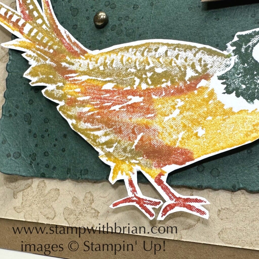 Painted Pheasant, Stampin Up!, Brian King Painted Pheasant, Stampin Up!, Brian King