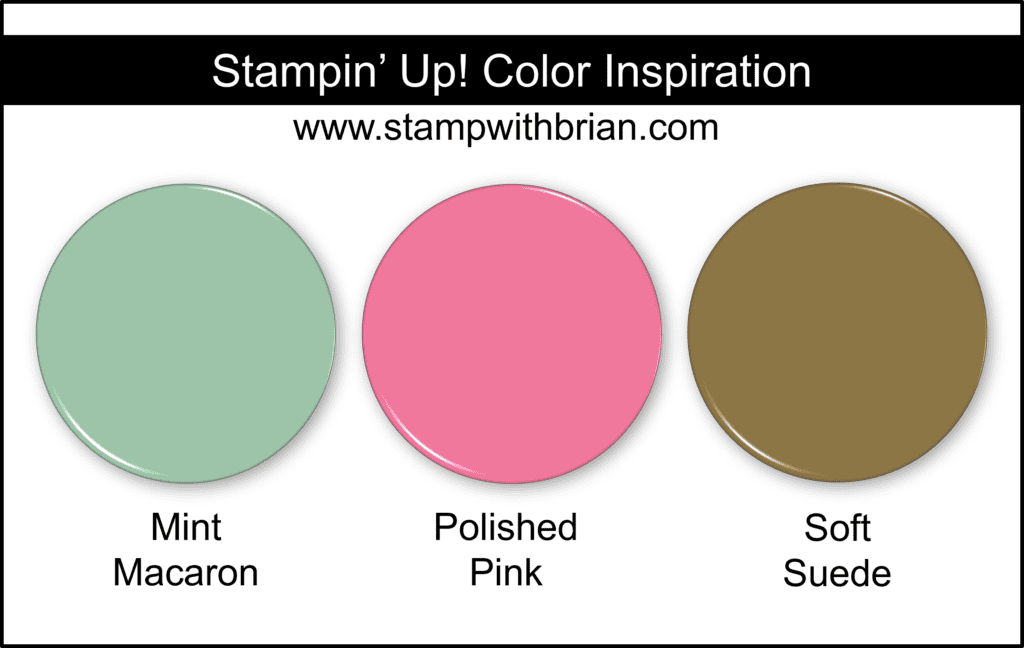 Stampin Up! Color Inspiration - Mint Macaron, Polished Pink, Soft Suede Stampin Up! Color Inspiration - Mint Macaron, Polished Pink, Soft Suede